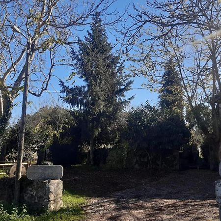 Pazo San Lorenzo- Puebla De Trives Eksteriør bilde